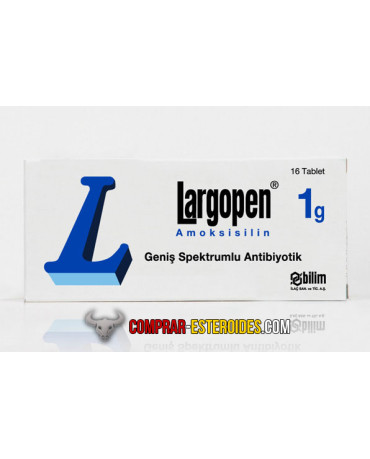 Amoxicilline LARGOPEN 1000 mg 16 Tabletas Bilim