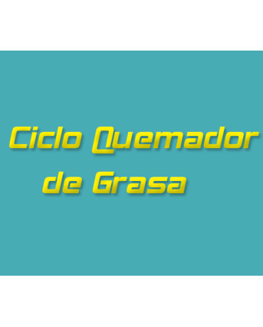 Ciclo Quemador de Grasa