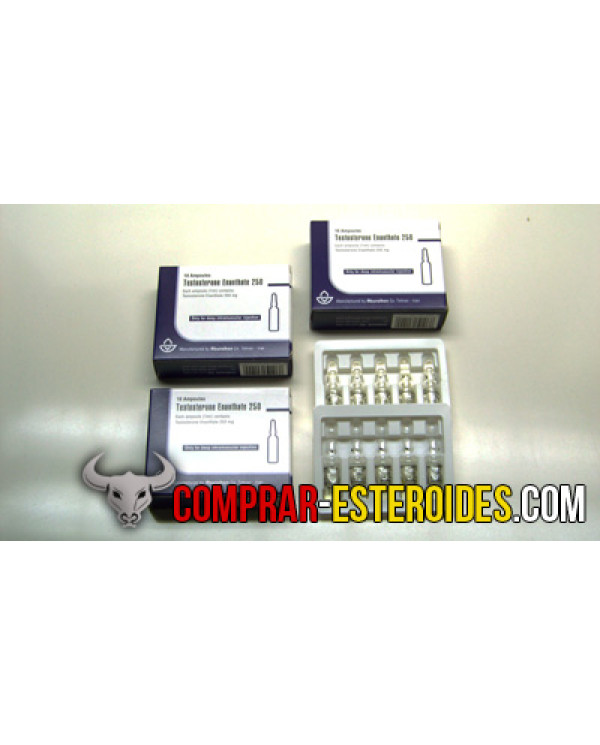 Testosterone Enanthate 250 mg 1  ml amp Aburaihan